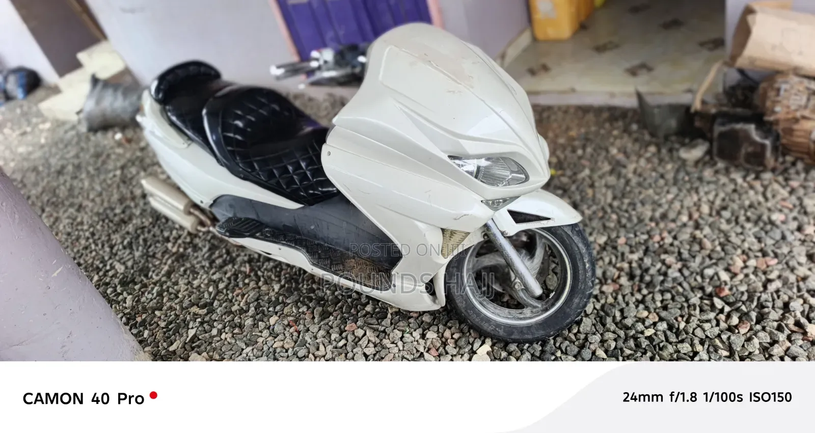 Honda Forza 1999 White