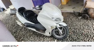 Honda Forza 1999 White