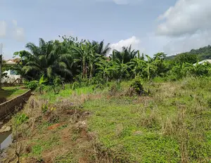 VOLTA REGION, HO (DEME) _ 1 Plot Building Land