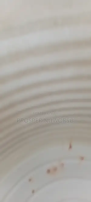 Polytank and Reservoir Washing Expect