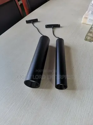 Bold Face Pendant Magnetic Track Light