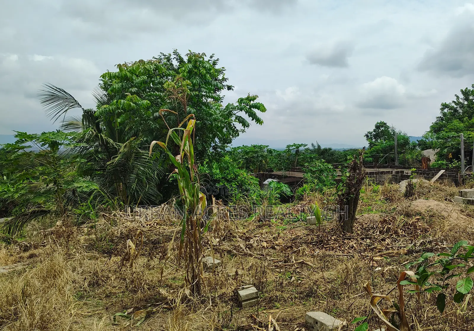 VOLTA REGION, HO (LOKOE) _ 2 Plots Building Land