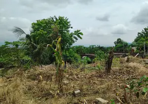 VOLTA REGION, HO (LOKOE) _ 2 Plots Building Land