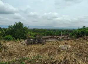 VOLTA REGION, HO (LOKOE) _ 2 Plots Building Land