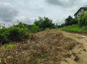 VOLTA REGION, HO (LOKOE) _ 2 Plots Building Land
