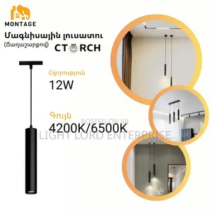 Suspension 48V DC  Magnetic Pendant Light