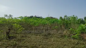 VOLTA REGION, HO (ABUTIA) _ 50+ Acres Farmland