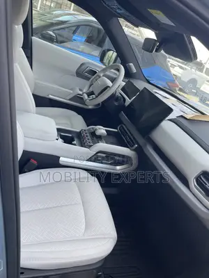 New BYD Leopard 3 2025 Gray