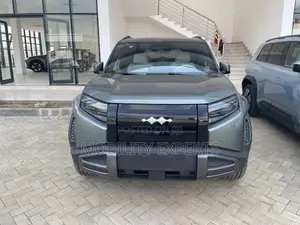 New BYD Leopard 3 2025 Gray