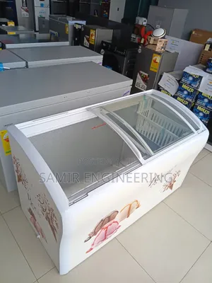 The Roch RIS-570C-D Showcase Freezer