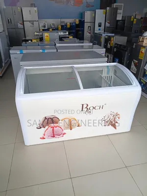 Roch Proview 458L Commercial Showcase Display Freezer