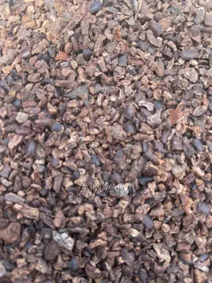 Cocoa Nibs