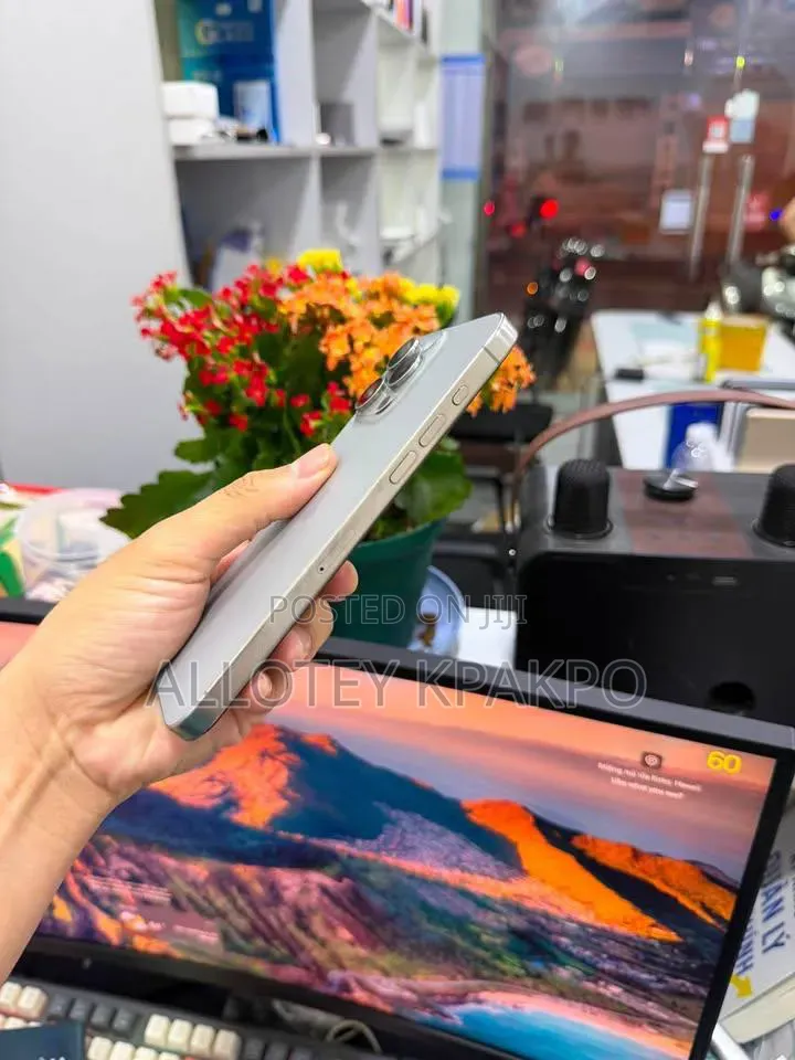 Apple iPhone 15 Pro Max 256 GB Silver
