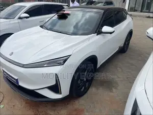 New Dongfeng EV EX1 2025 White