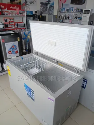 The Bulk Storage Giant: Nexon 400L Silver Deep Freezer