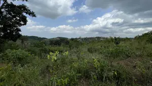 17 Acres of Land for Sale in Aburi