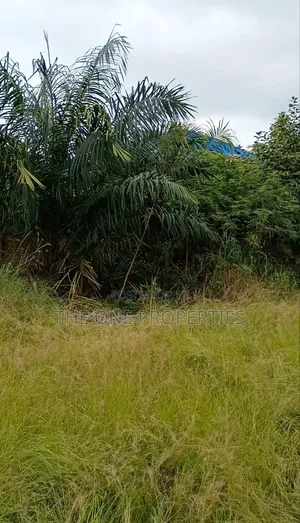 1 Plot of Land for Sale at Kotoku