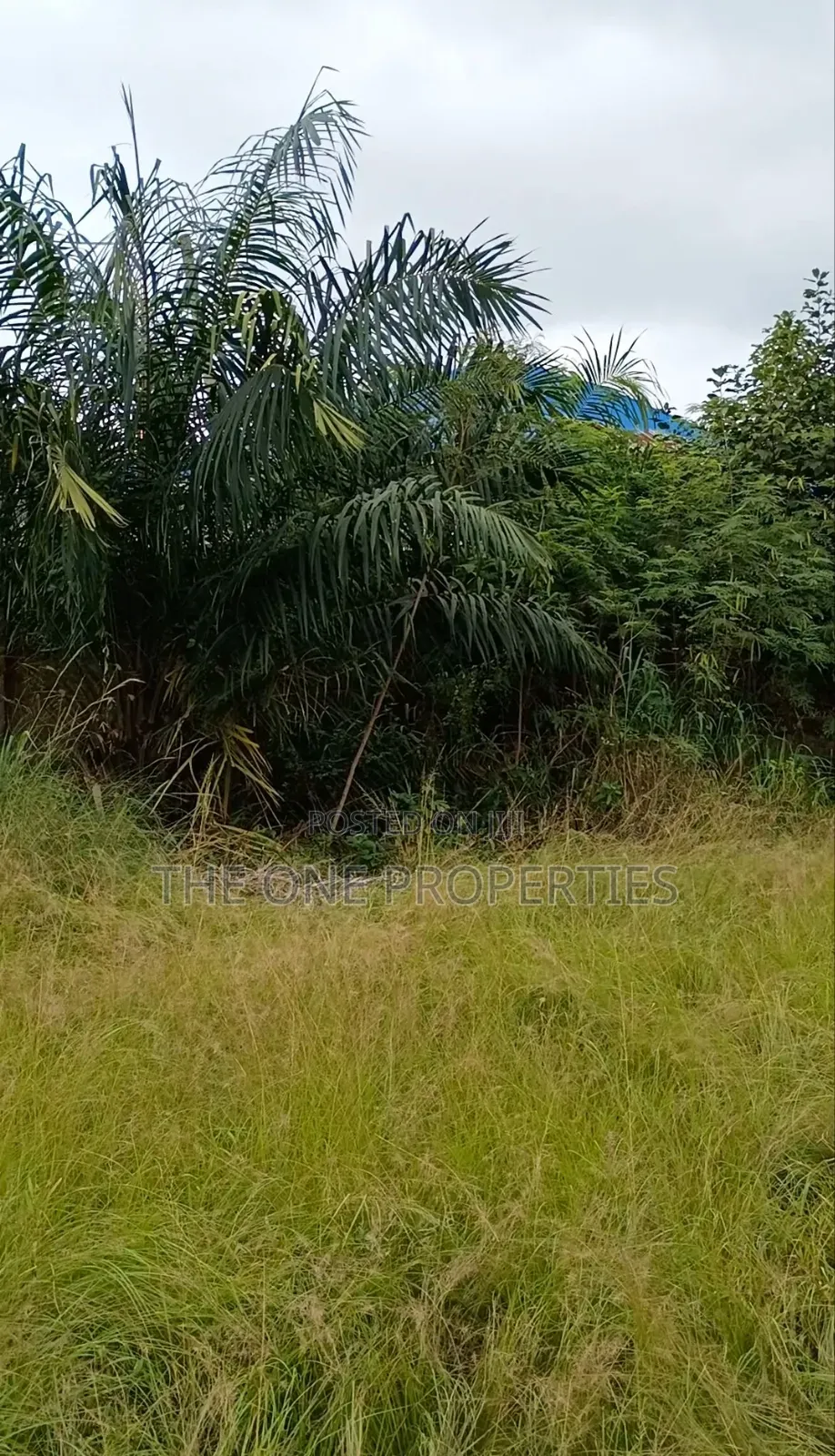 1 Plot of Land for Sale at Kotoku