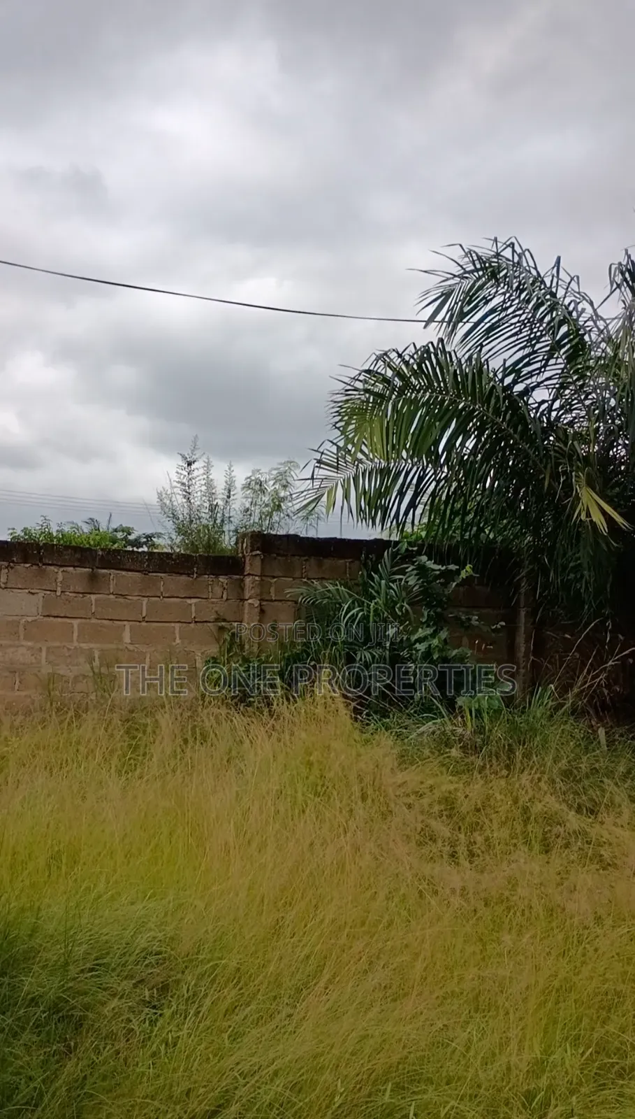 1 Plot of Land for Sale at Kotoku