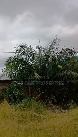 1 Plot of Land for Sale at Kotoku