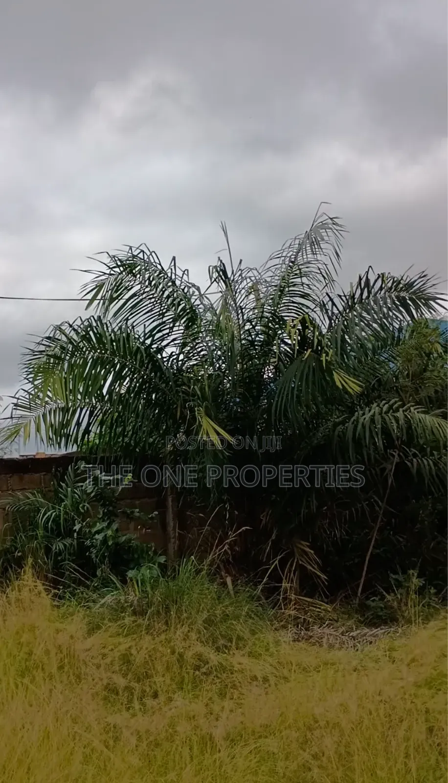 1 Plot of Land for Sale at Kotoku
