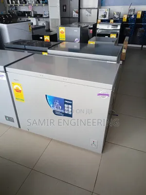The Frost Master: Nexon NCF-320G-I (S) Silver Freezer