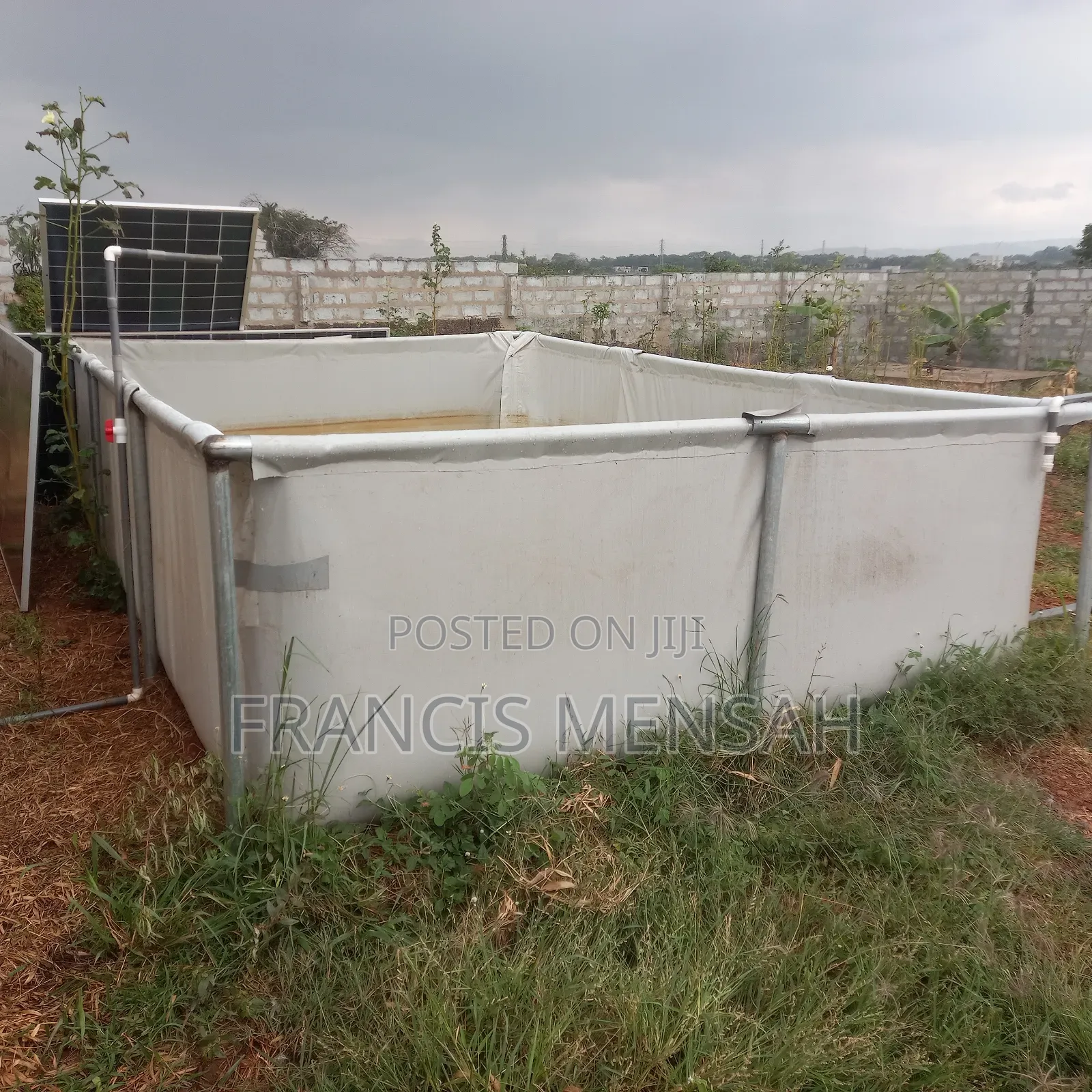 3 Tapualin Ponds for Catfish for Sale