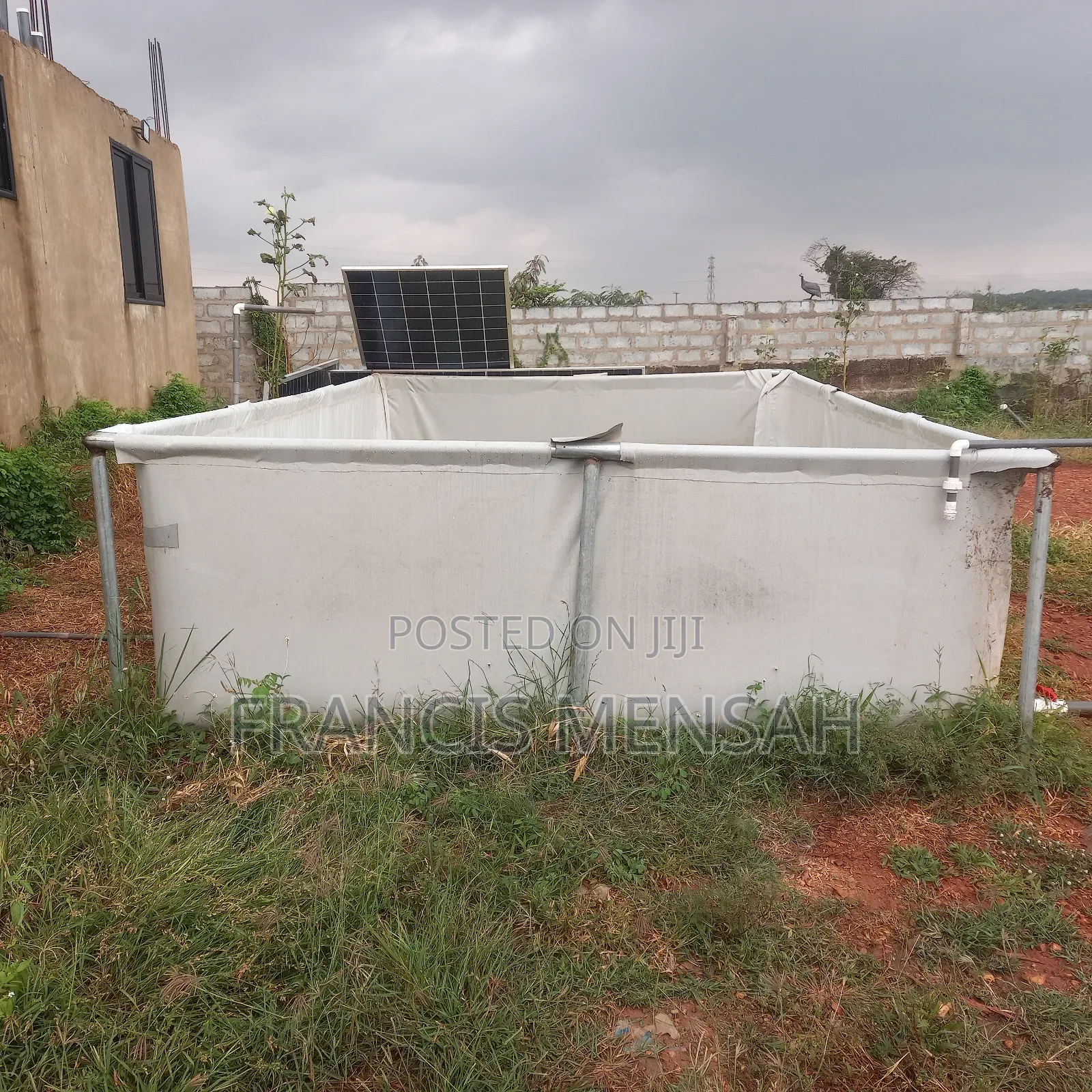 3 Tapualin Ponds for Catfish for Sale