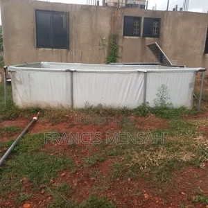 3 Tapualin Ponds for Catfish for Sale