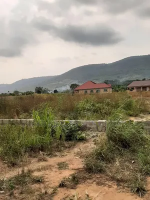 Acres of Road Land for Sale at Ayikuma,Dodowa