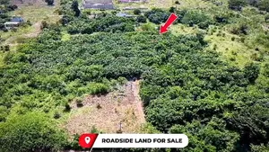 Acres of Road Land for Sale at Ayikuma,Dodowa
