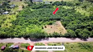 Acres of Road Land for Sale at Ayikuma,Dodowa