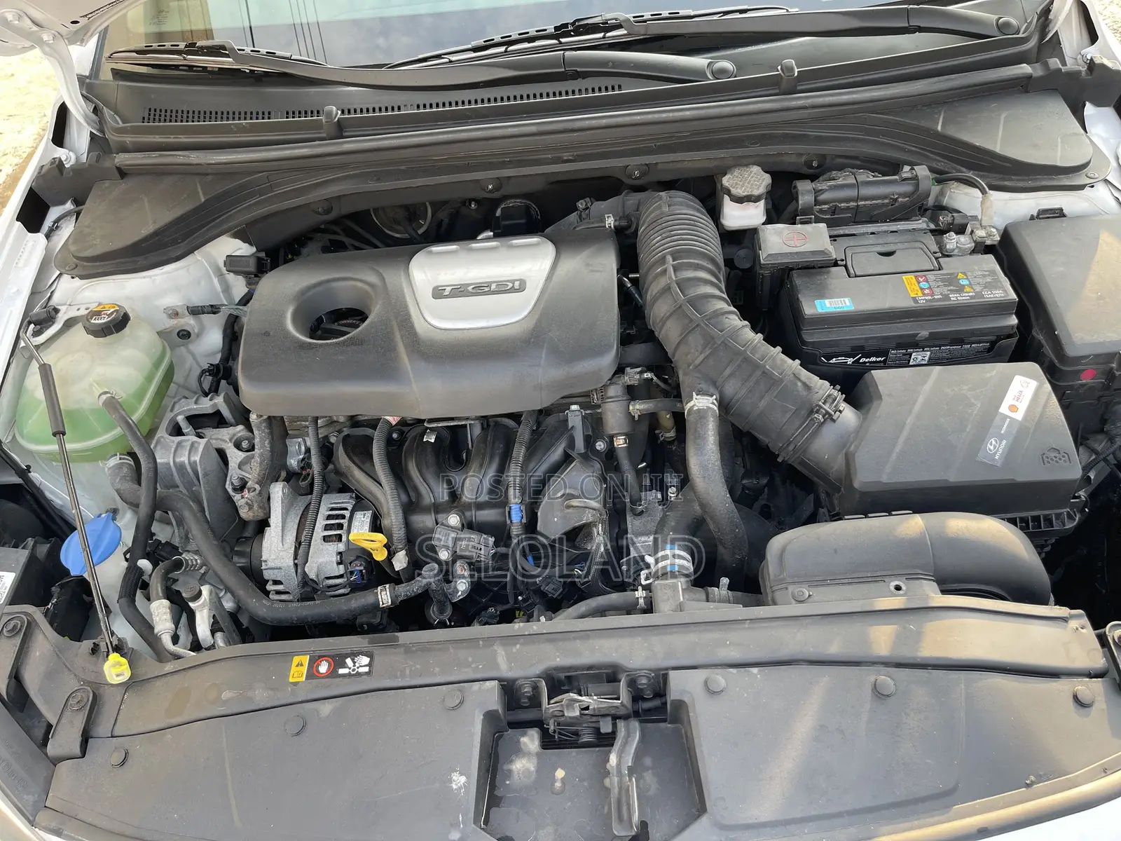 Hyundai Elantra Sport 2018 White