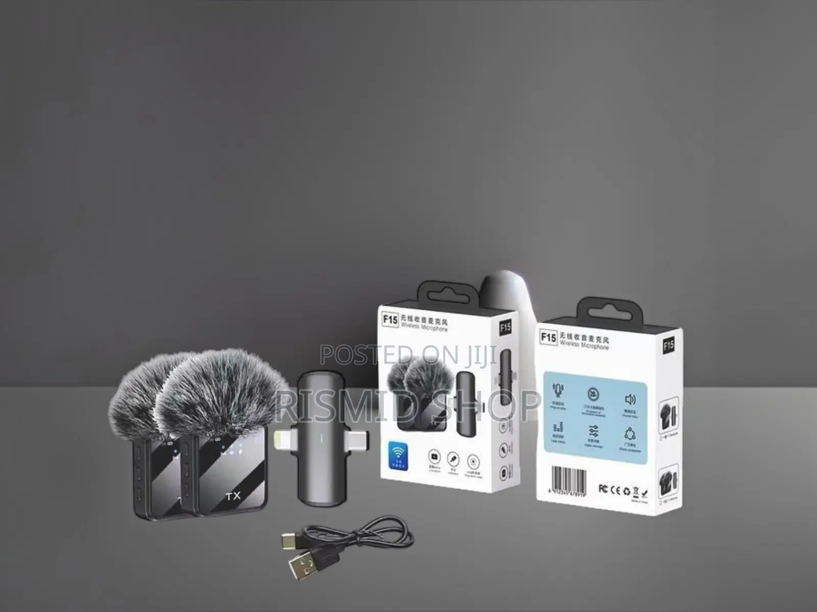 F15-2 Professional Wireless Mic