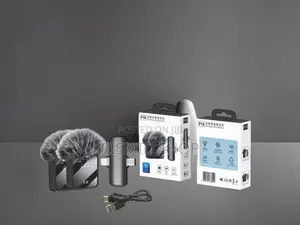 F15-2 Professional Wireless Mic