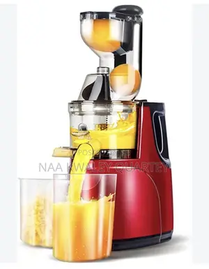 Electric Slow Juicer