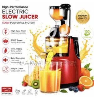 Electric Slow Juicer