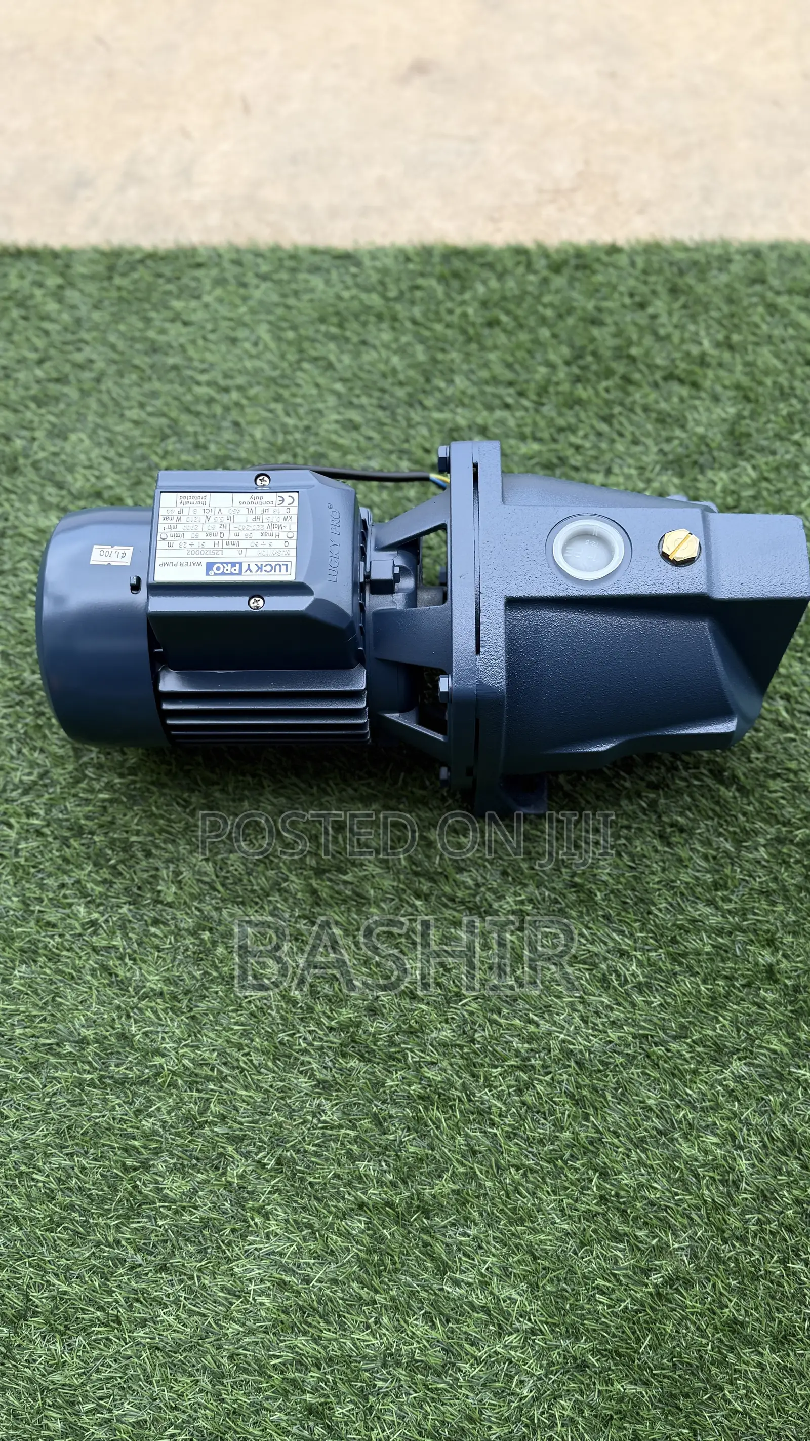 Surface Water Pump