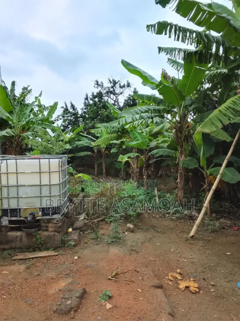45X100 Titled Land for Sale