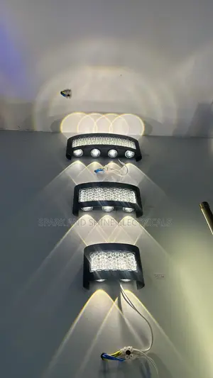 Luxury Outdoor/Indoor LED Wall Light