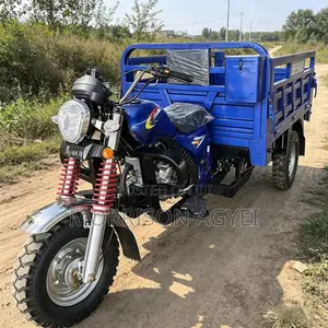 New Tricycle 2025 Blue