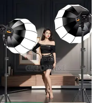 Professional Studio Flash Light With Softbox & Stand