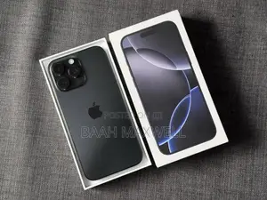 Apple iPhone 16 Pro Max 256 GB Gray