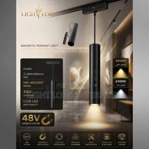 Major Home Magnetic Pendant Track Light