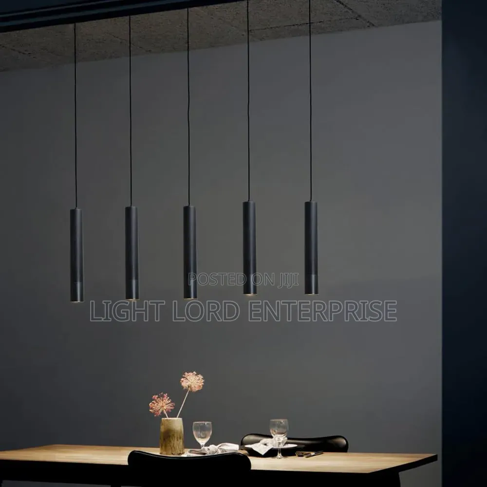 Major Home Magnetic Pendant Track Light