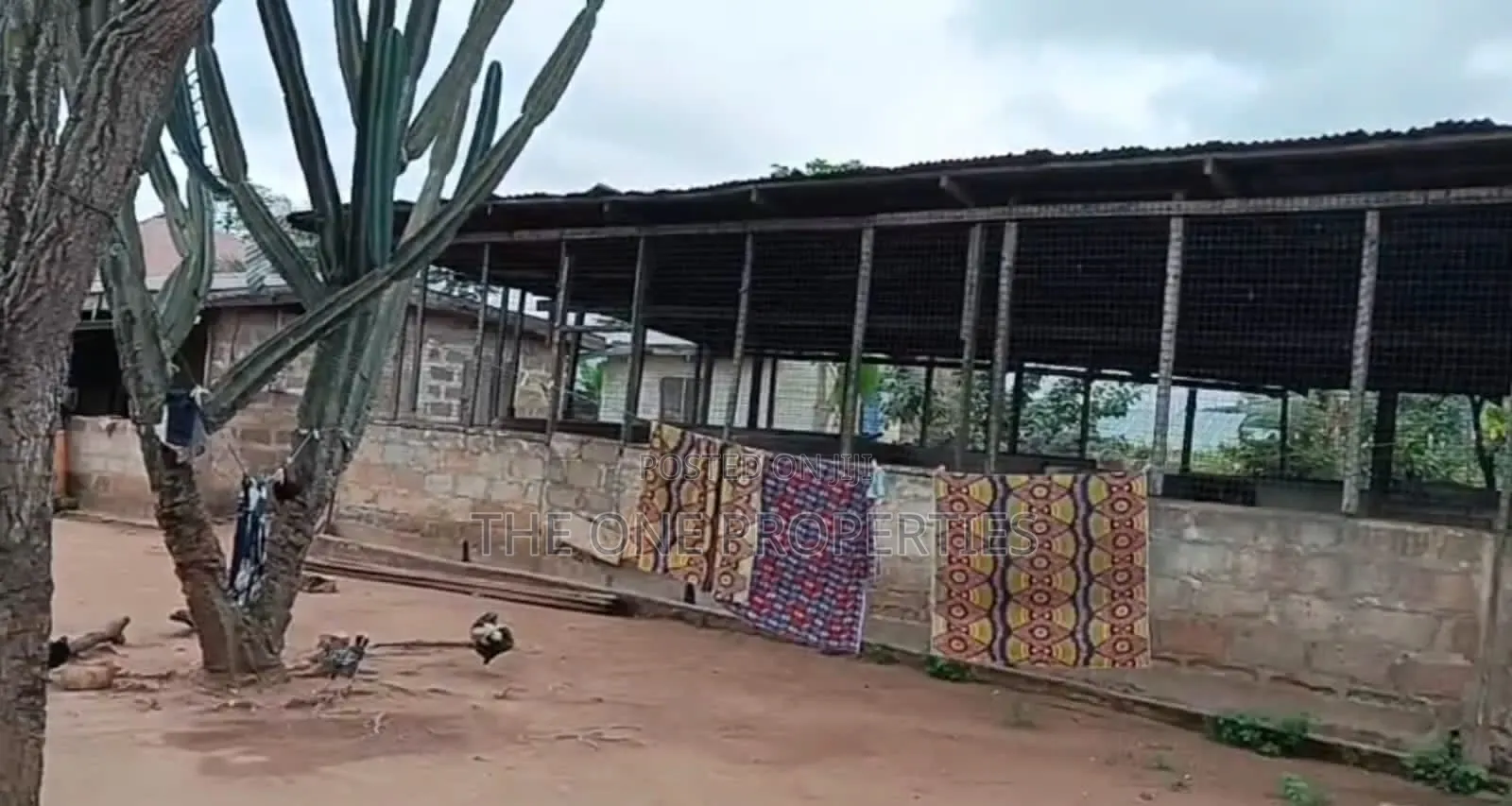 Pigs Farm for Sale at Nsawam Voltic