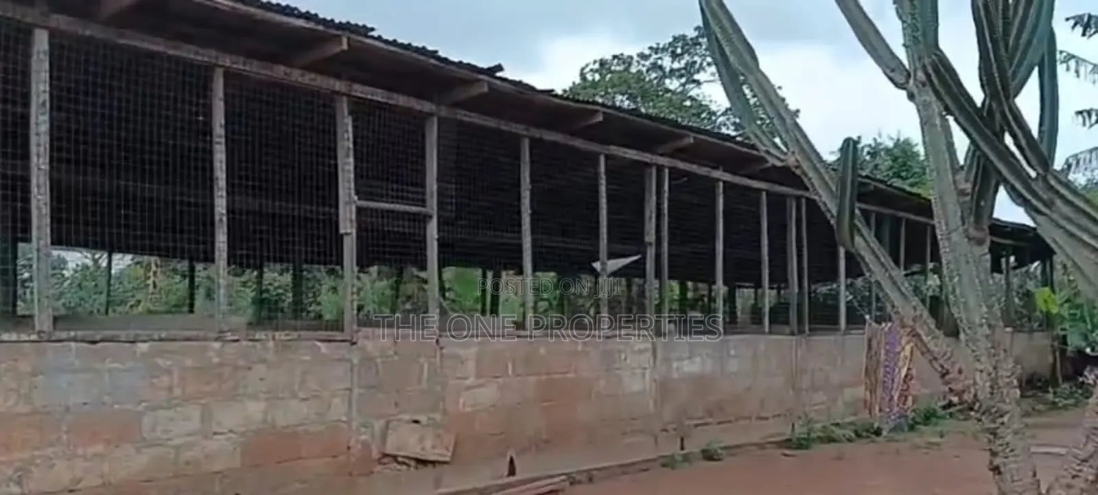 Pigs Farm for Sale at Nsawam Voltic