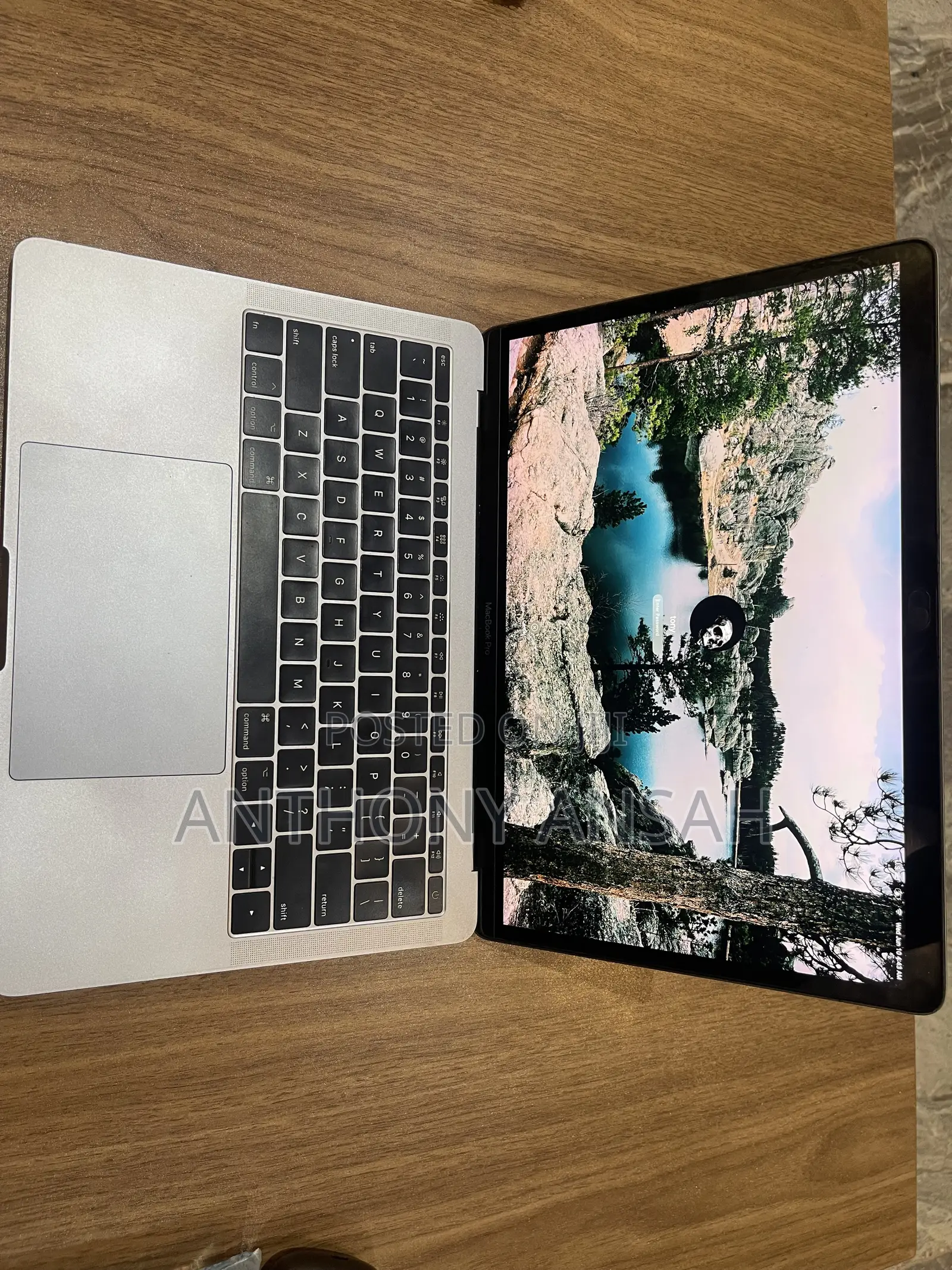 Laptop Apple MacBook Pro 2017 16GB Intel Core i5 SSD 512GB