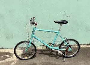 Weekend Mini Bicycles Selling Fast