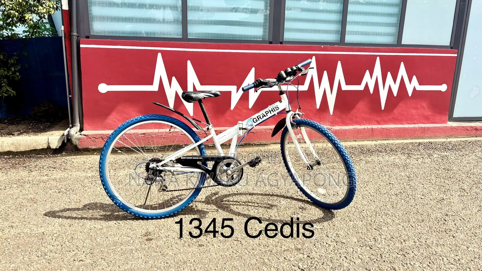 Graphics Folding Bicycle for Sale